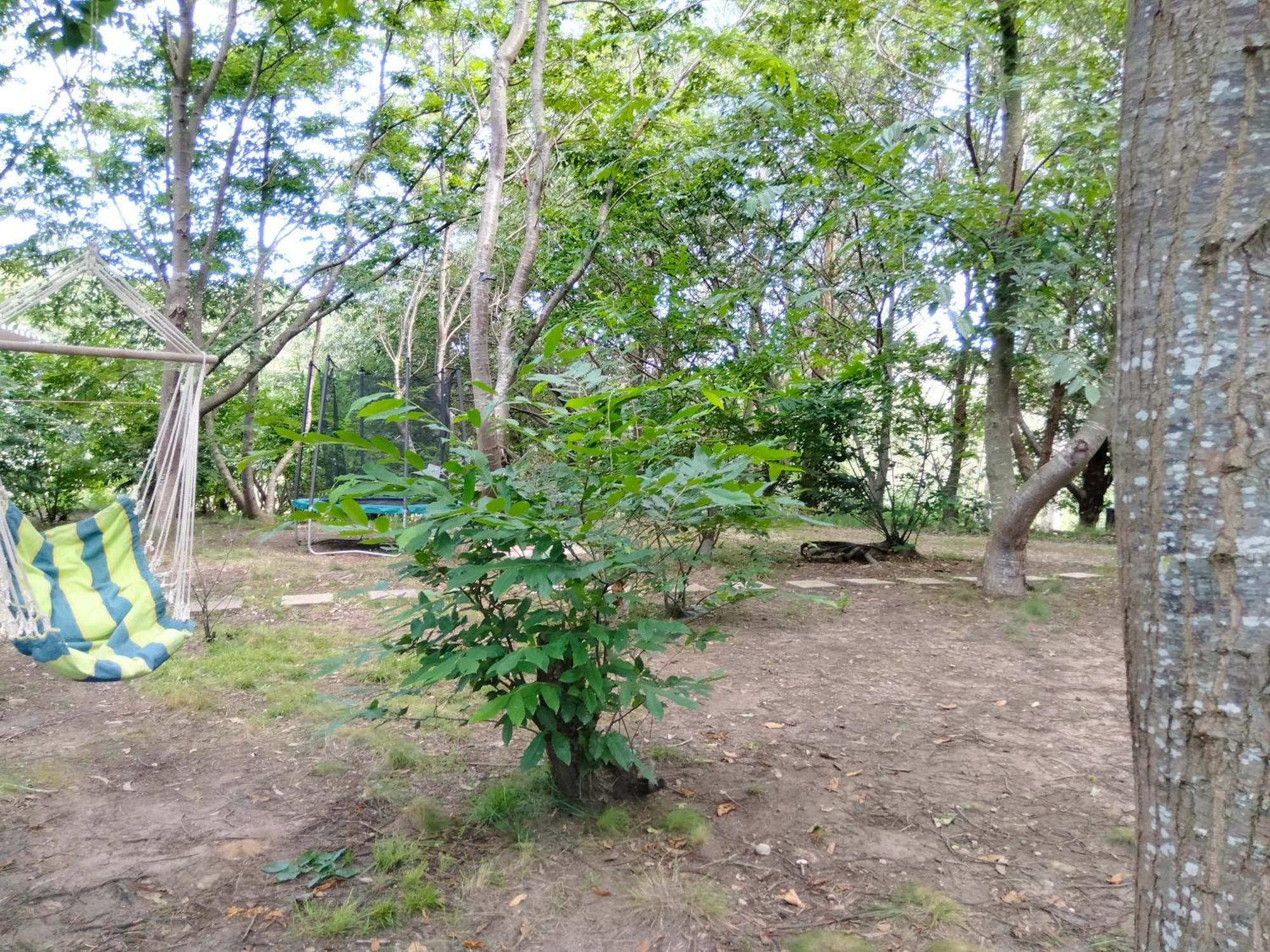La Finca - Campamento En La Naturaleza Carranceja Zimmer foto